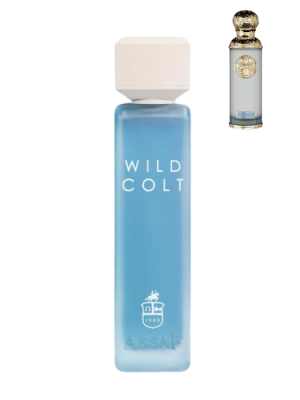 ASSAF Wild Colt Eau de Parfum 200ml