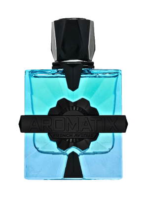 French Avenue Magnetiq Extrait De Parfum 100ml (2025)