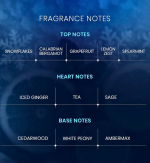 Riffs Freeze Extrait de Parfum 100ml